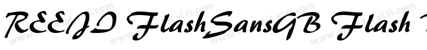 REEJI FlashSansGB Flash Black字体转换 REEJI FlashSansGB Flash Black字体转换